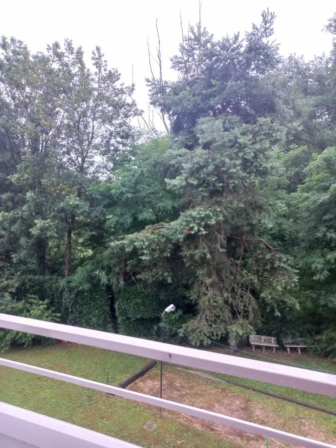 Lake Maggiore 2 Minutes Apartment ดอร์เมลเล็ตโต ภายนอก รูปภาพ