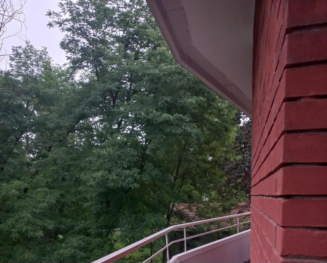Lake Maggiore 2 Minutes Apartment ดอร์เมลเล็ตโต ภายนอก รูปภาพ